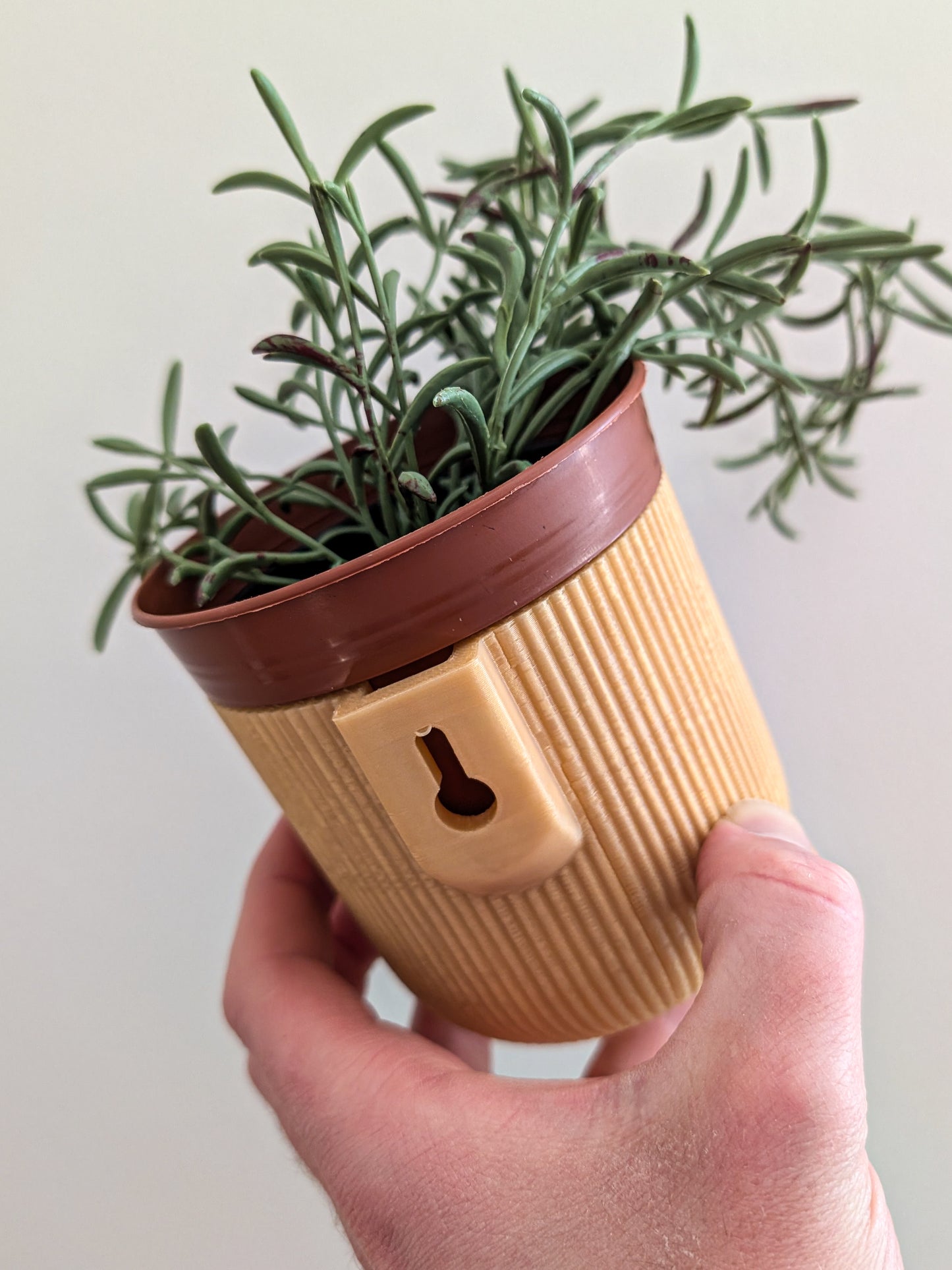 Wall Mounted Houseplant Pot, 100mm x 110mm, Caramel