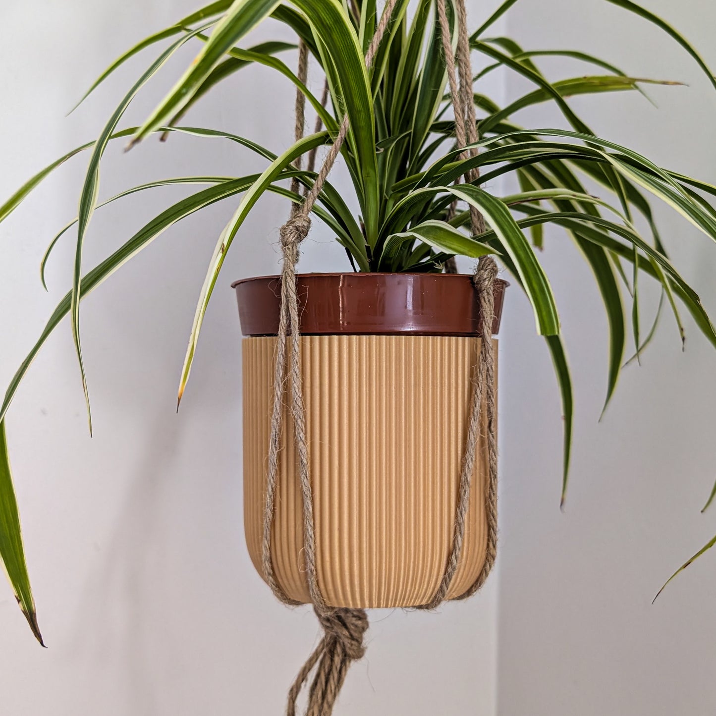 Macrame Hanging Houseplant Pot, 140mm, Caramel