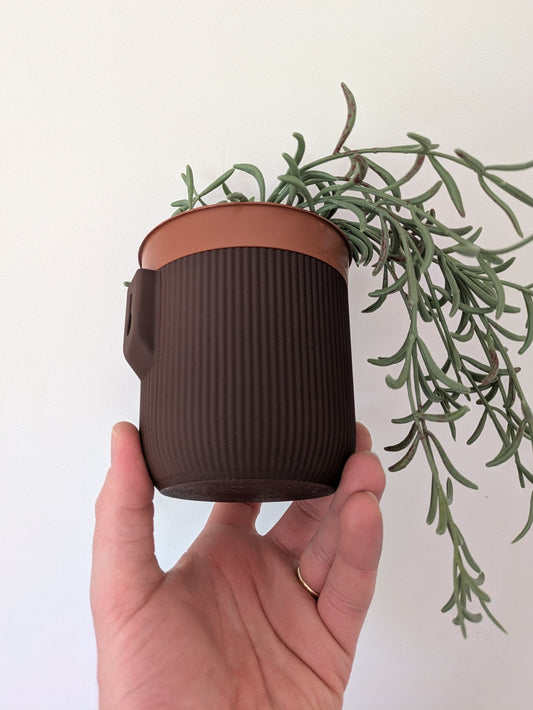 Wall Mounted Houseplant Pot, 100mm x 110mm, Chocolate