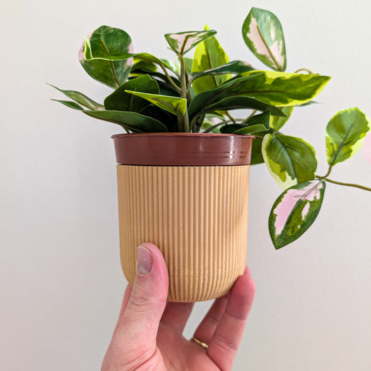 Houseplant Pot, 110mm, Caramel