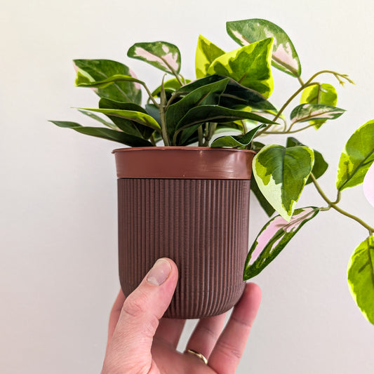 Houseplant Pot, 110mm, Vintage Brown