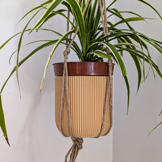 Macrame Hanging Houseplant Pot, 140mm, Caramel