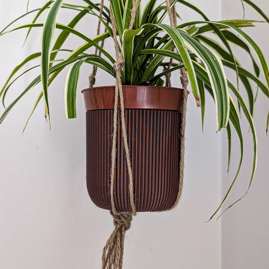 Macrame Hanging Houseplant Pot, 140mm, Vintage Brown