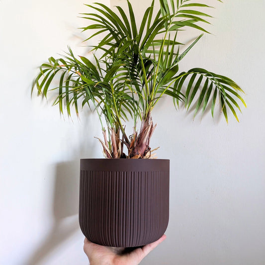Houseplant Pot, 220mm x170mm, Chocolate