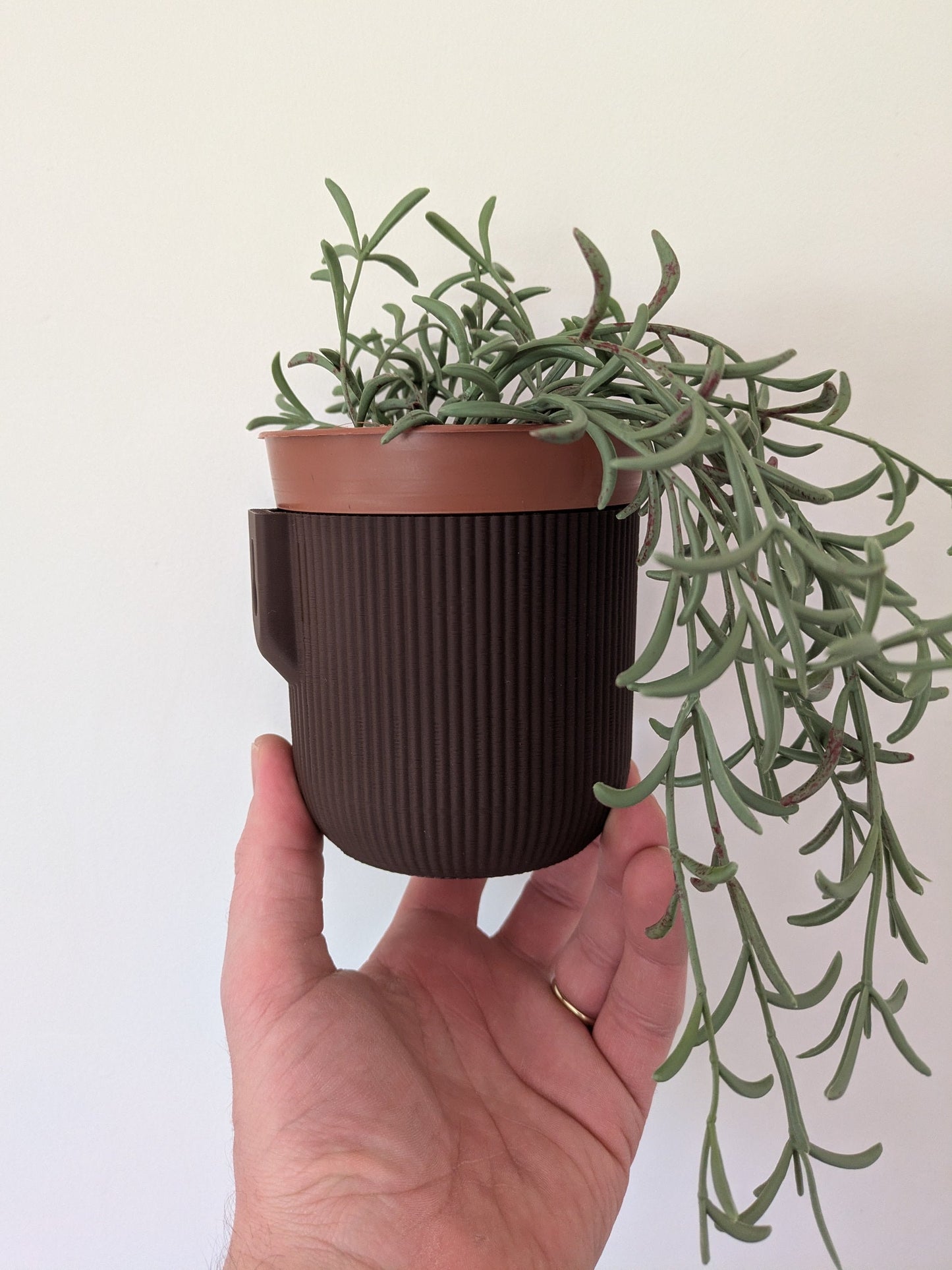 Wall Mounted Houseplant Pot, 100mm x 110mm, Chocolate